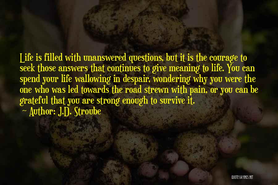 J.D. Stroube Quotes: Life Is Filled With Unanswered Questions, But It Is The Courage To Seek Those Answers That Continues To Give Meaning