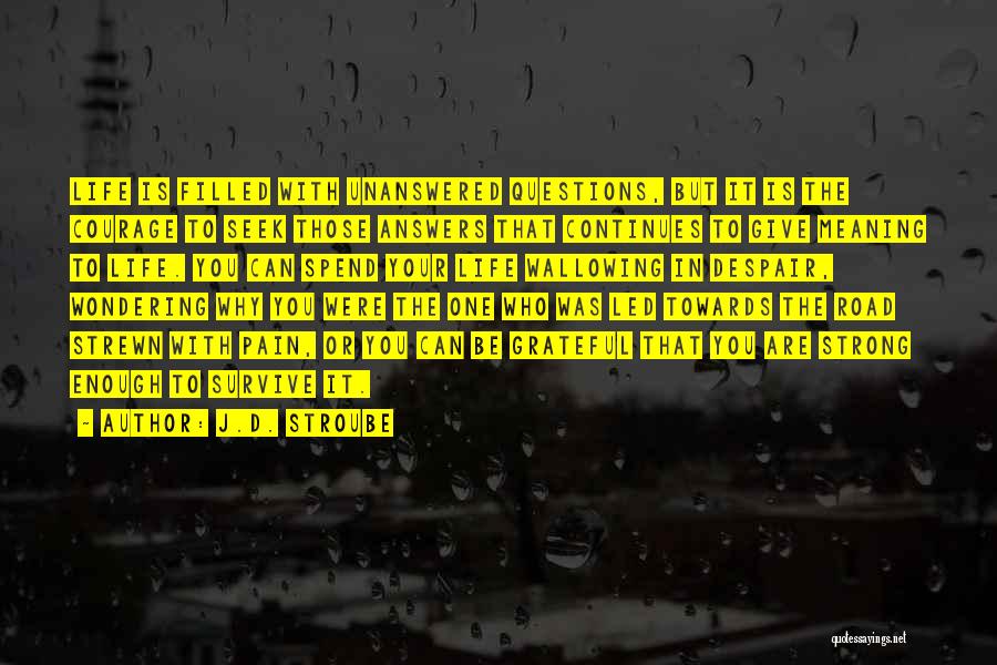 J.D. Stroube Quotes: Life Is Filled With Unanswered Questions, But It Is The Courage To Seek Those Answers That Continues To Give Meaning