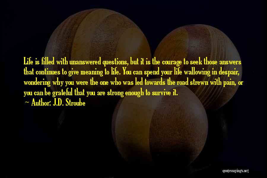 J.D. Stroube Quotes: Life Is Filled With Unanswered Questions, But It Is The Courage To Seek Those Answers That Continues To Give Meaning