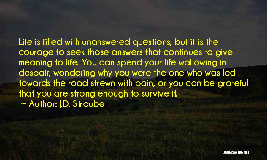 J.D. Stroube Quotes: Life Is Filled With Unanswered Questions, But It Is The Courage To Seek Those Answers That Continues To Give Meaning