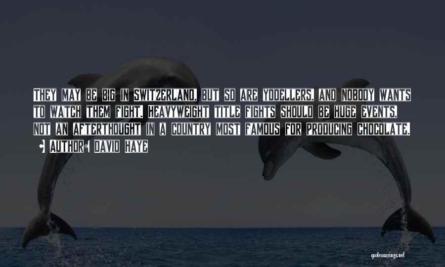 David Haye Quotes: They May Be Big In Switzerland, But So Are Yodellers, And Nobody Wants To Watch Them Fight. Heavyweight Title Fights