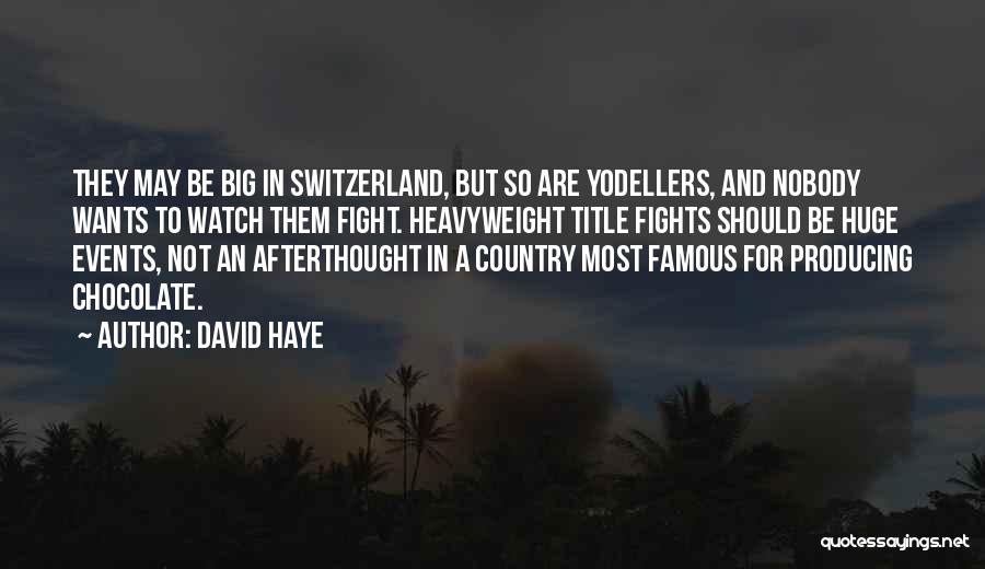 David Haye Quotes: They May Be Big In Switzerland, But So Are Yodellers, And Nobody Wants To Watch Them Fight. Heavyweight Title Fights