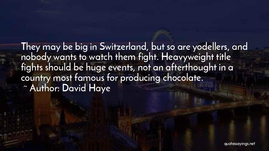 David Haye Quotes: They May Be Big In Switzerland, But So Are Yodellers, And Nobody Wants To Watch Them Fight. Heavyweight Title Fights