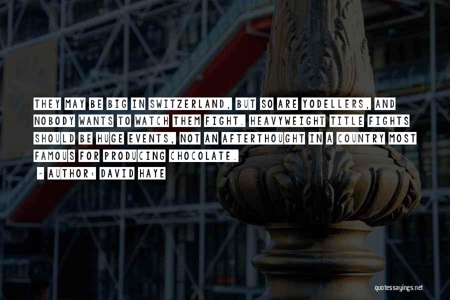 David Haye Quotes: They May Be Big In Switzerland, But So Are Yodellers, And Nobody Wants To Watch Them Fight. Heavyweight Title Fights