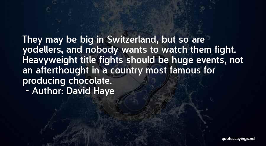 David Haye Quotes: They May Be Big In Switzerland, But So Are Yodellers, And Nobody Wants To Watch Them Fight. Heavyweight Title Fights