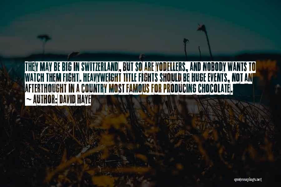 David Haye Quotes: They May Be Big In Switzerland, But So Are Yodellers, And Nobody Wants To Watch Them Fight. Heavyweight Title Fights