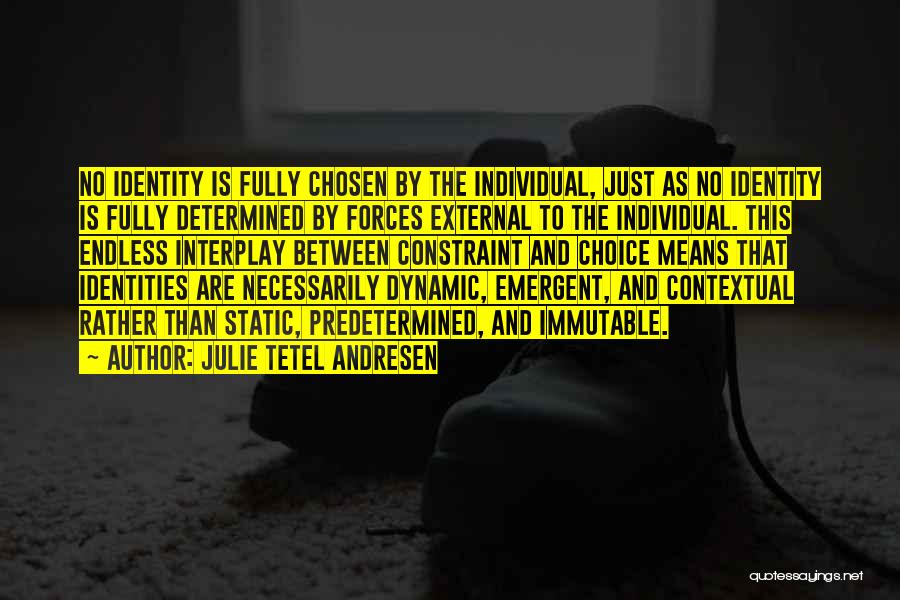 Julie Tetel Andresen Quotes: No Identity Is Fully Chosen By The Individual, Just As No Identity Is Fully Determined By Forces External To The