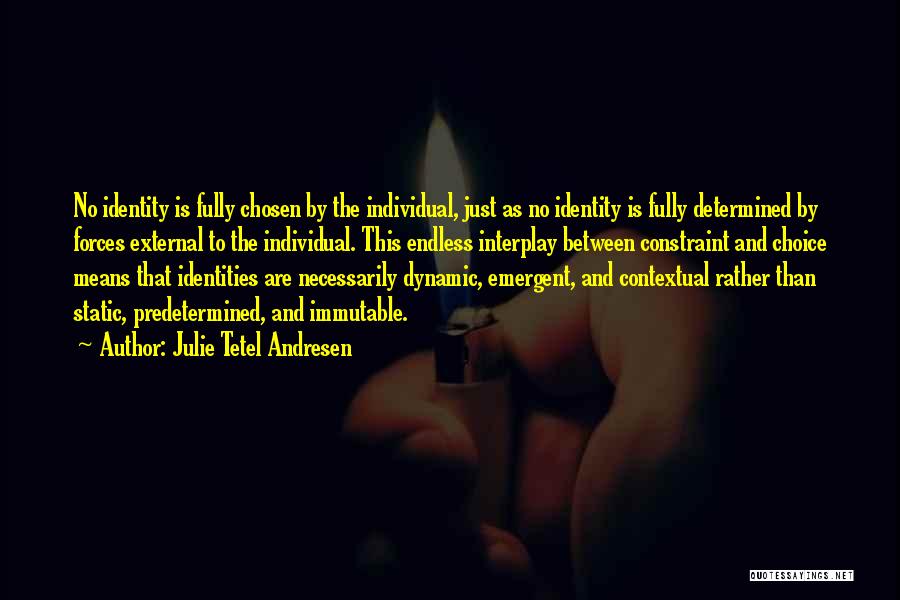 Julie Tetel Andresen Quotes: No Identity Is Fully Chosen By The Individual, Just As No Identity Is Fully Determined By Forces External To The