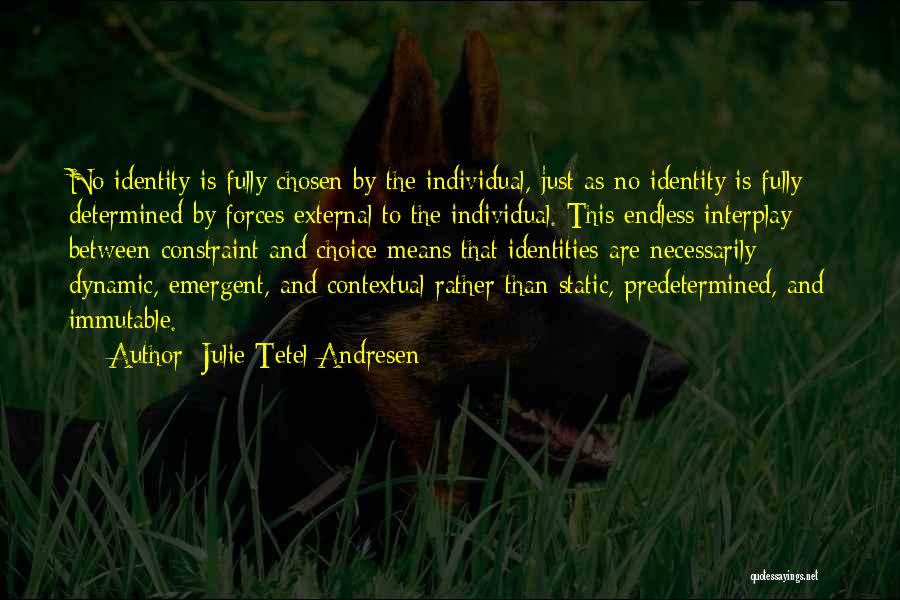 Julie Tetel Andresen Quotes: No Identity Is Fully Chosen By The Individual, Just As No Identity Is Fully Determined By Forces External To The