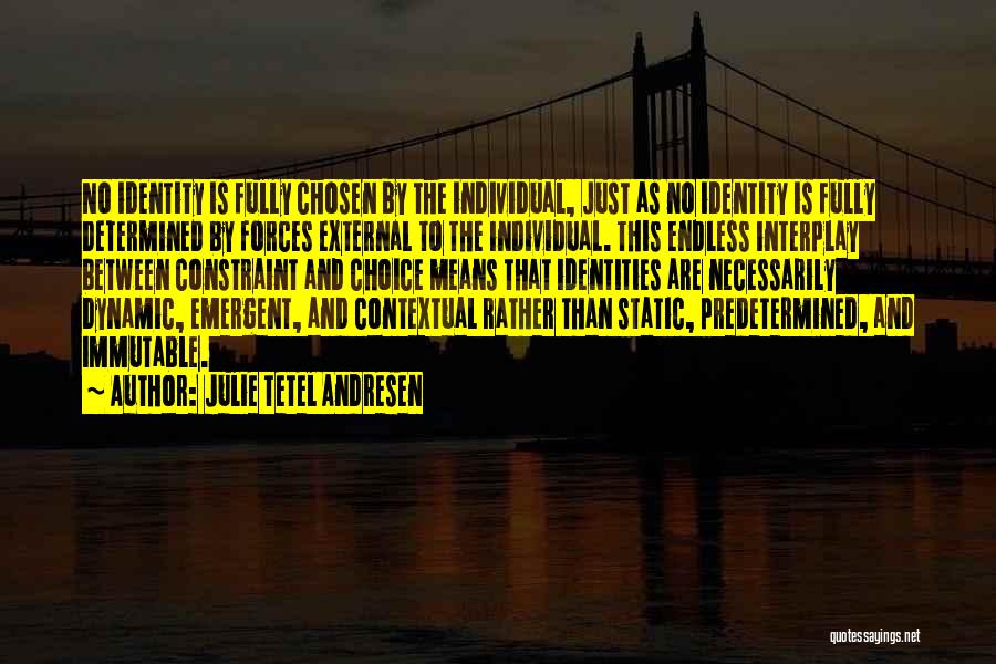 Julie Tetel Andresen Quotes: No Identity Is Fully Chosen By The Individual, Just As No Identity Is Fully Determined By Forces External To The