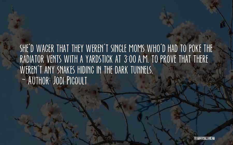 Jodi Picoult Quotes: She'd Wager That They Weren't Single Moms Who'd Had To Poke The Radiator Vents With A Yardstick At 3:00 A.m.