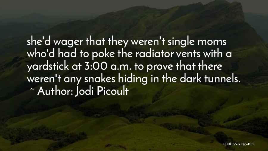 Jodi Picoult Quotes: She'd Wager That They Weren't Single Moms Who'd Had To Poke The Radiator Vents With A Yardstick At 3:00 A.m.