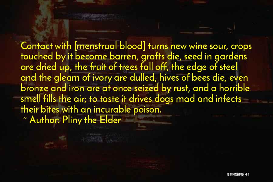 Pliny The Elder Quotes: Contact With [menstrual Blood] Turns New Wine Sour, Crops Touched By It Become Barren, Grafts Die, Seed In Gardens Are