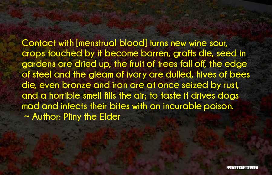 Pliny The Elder Quotes: Contact With [menstrual Blood] Turns New Wine Sour, Crops Touched By It Become Barren, Grafts Die, Seed In Gardens Are