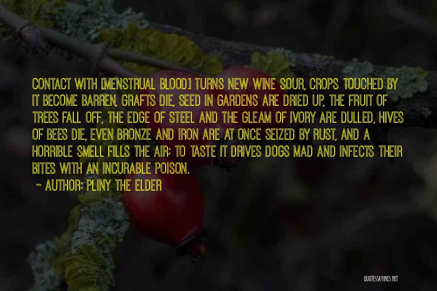 Pliny The Elder Quotes: Contact With [menstrual Blood] Turns New Wine Sour, Crops Touched By It Become Barren, Grafts Die, Seed In Gardens Are