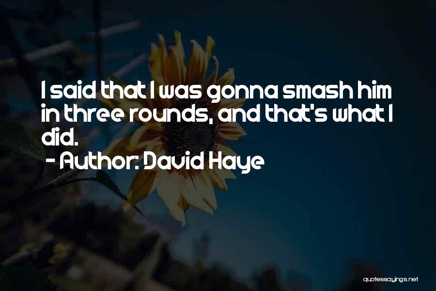 David Haye Quotes: I Said That I Was Gonna Smash Him In Three Rounds, And That's What I Did.