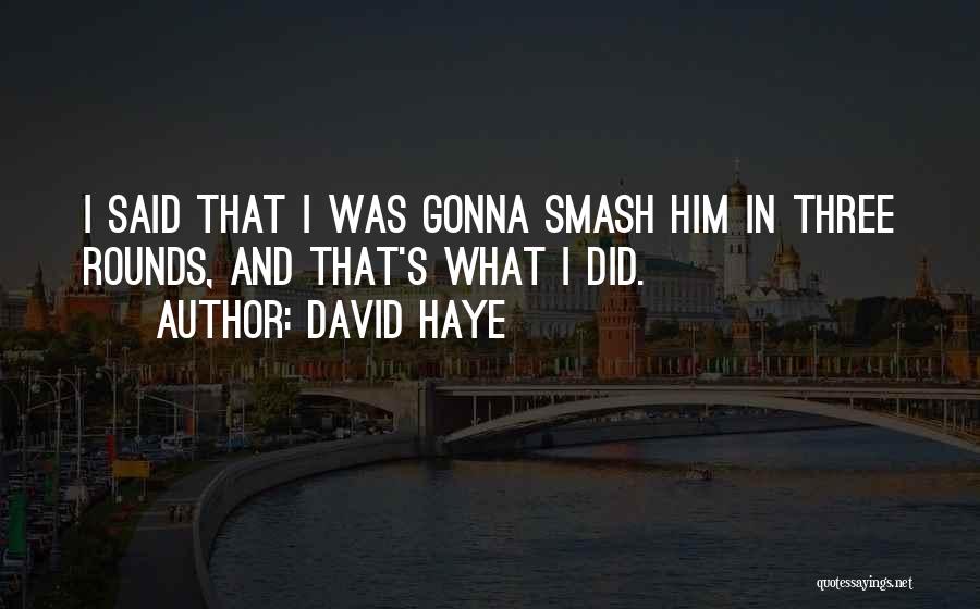 David Haye Quotes: I Said That I Was Gonna Smash Him In Three Rounds, And That's What I Did.