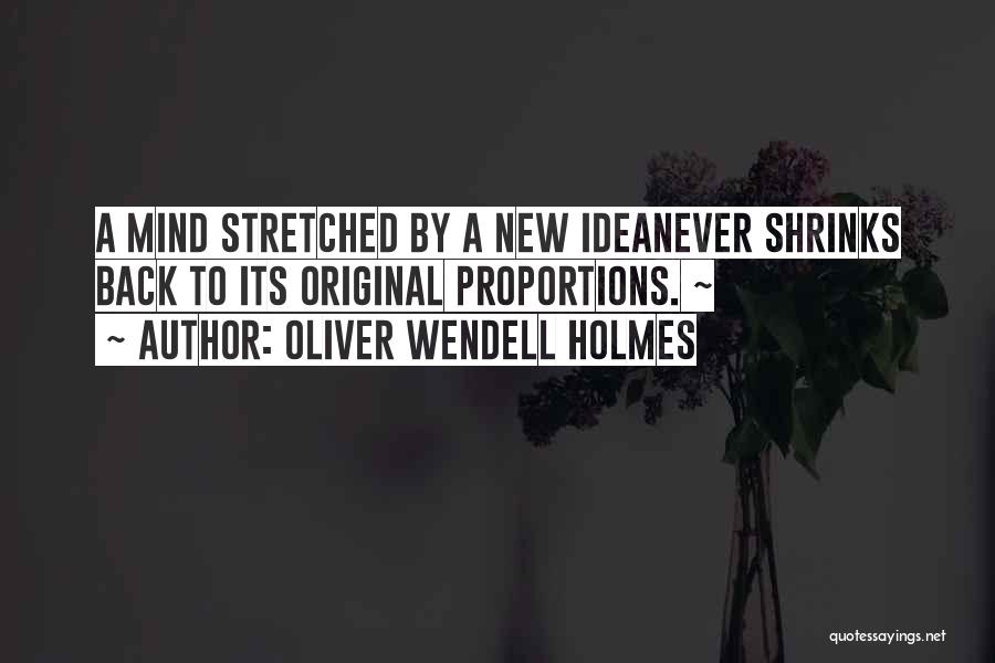 Oliver Wendell Holmes Quotes: A Mind Stretched By A New Ideanever Shrinks Back To Its Original Proportions. ~