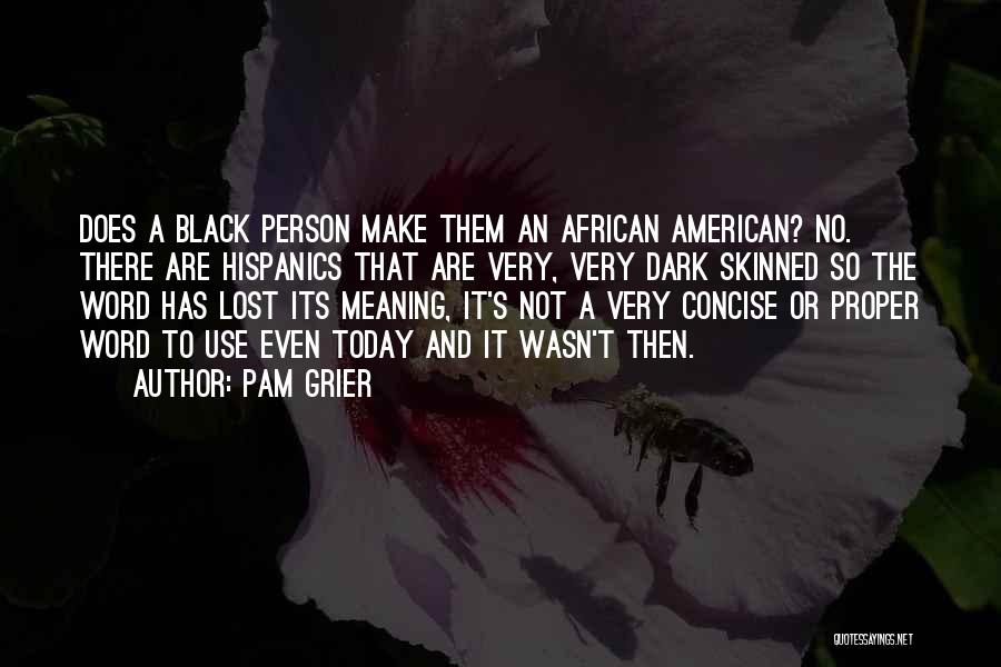 Pam Grier Quotes: Does A Black Person Make Them An African American? No. There Are Hispanics That Are Very, Very Dark Skinned So