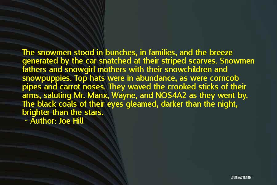 Joe Hill Quotes: The Snowmen Stood In Bunches, In Families, And The Breeze Generated By The Car Snatched At Their Striped Scarves. Snowmen