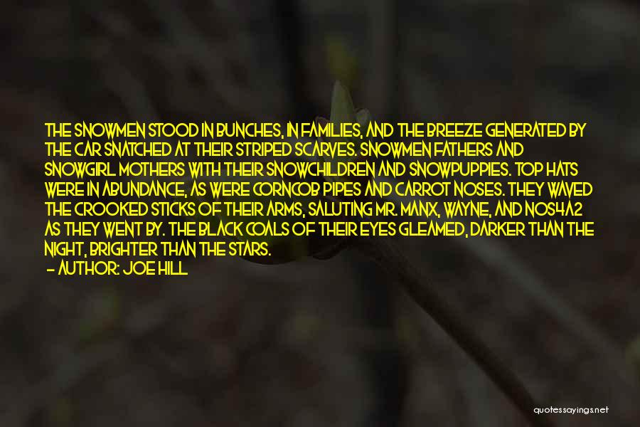 Joe Hill Quotes: The Snowmen Stood In Bunches, In Families, And The Breeze Generated By The Car Snatched At Their Striped Scarves. Snowmen