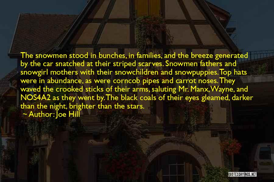 Joe Hill Quotes: The Snowmen Stood In Bunches, In Families, And The Breeze Generated By The Car Snatched At Their Striped Scarves. Snowmen