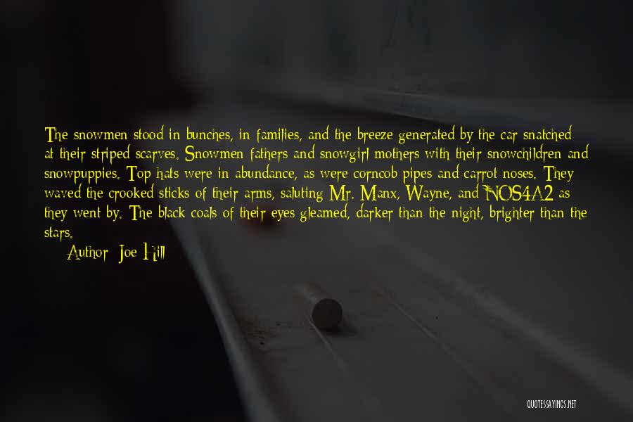 Joe Hill Quotes: The Snowmen Stood In Bunches, In Families, And The Breeze Generated By The Car Snatched At Their Striped Scarves. Snowmen