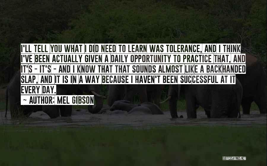 Mel Gibson Quotes: I'll Tell You What I Did Need To Learn Was Tolerance, And I Think I've Been Actually Given A Daily