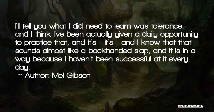 Mel Gibson Quotes: I'll Tell You What I Did Need To Learn Was Tolerance, And I Think I've Been Actually Given A Daily