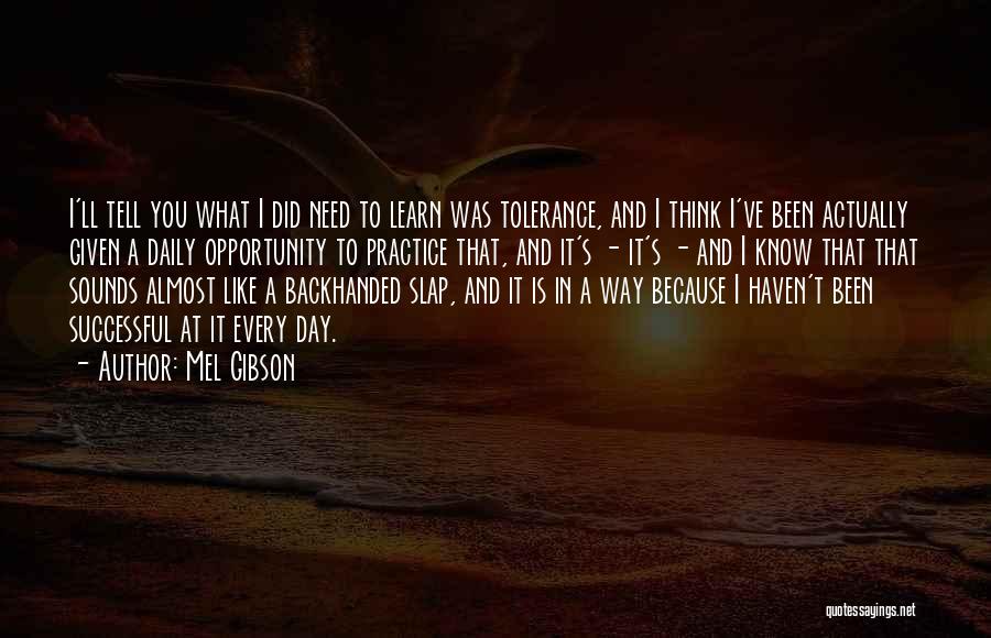 Mel Gibson Quotes: I'll Tell You What I Did Need To Learn Was Tolerance, And I Think I've Been Actually Given A Daily