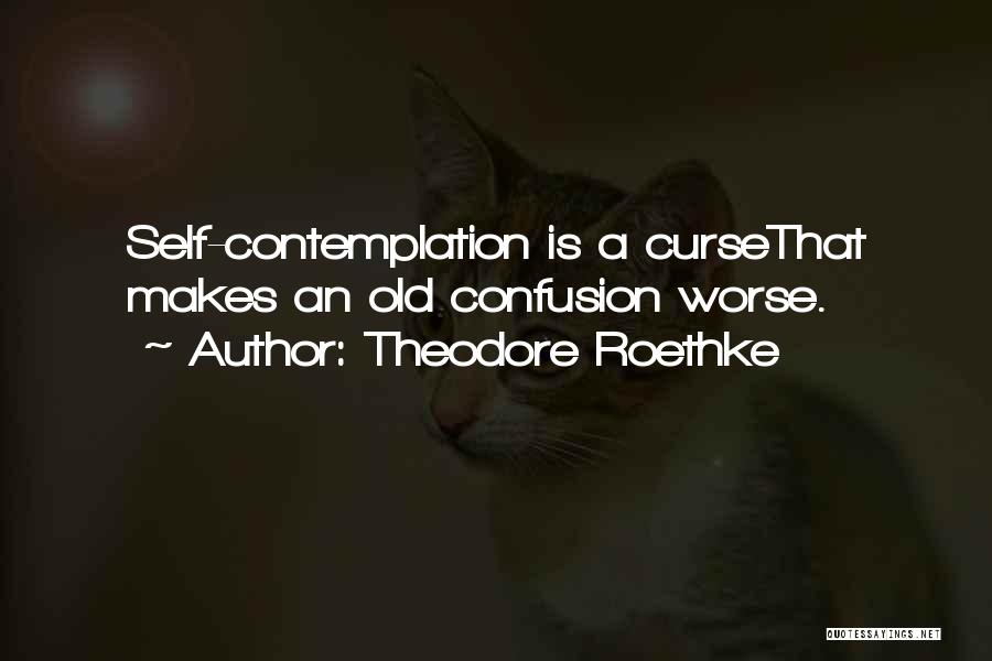 Theodore Roethke Quotes: Self-contemplation Is A Cursethat Makes An Old Confusion Worse.