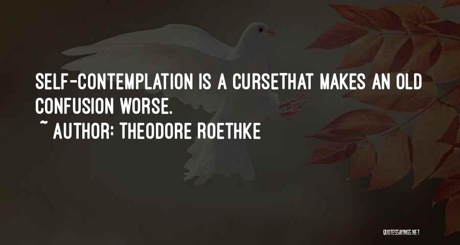 Theodore Roethke Quotes: Self-contemplation Is A Cursethat Makes An Old Confusion Worse.