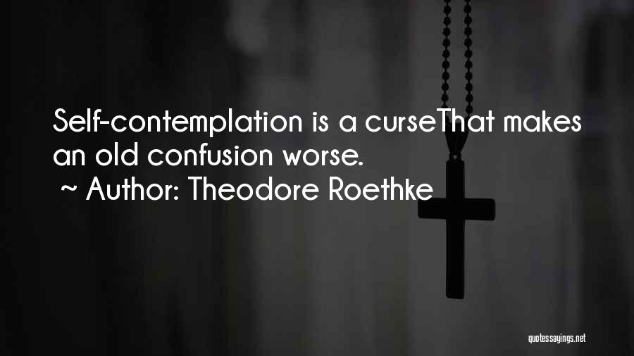 Theodore Roethke Quotes: Self-contemplation Is A Cursethat Makes An Old Confusion Worse.