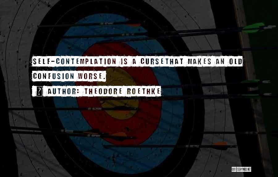 Theodore Roethke Quotes: Self-contemplation Is A Cursethat Makes An Old Confusion Worse.