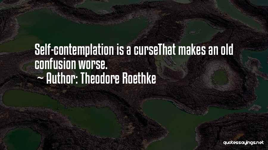 Theodore Roethke Quotes: Self-contemplation Is A Cursethat Makes An Old Confusion Worse.