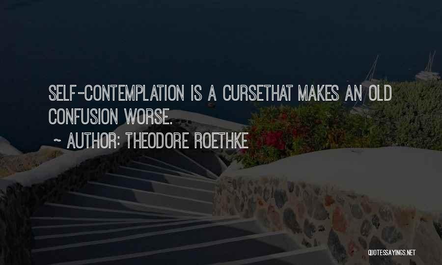 Theodore Roethke Quotes: Self-contemplation Is A Cursethat Makes An Old Confusion Worse.