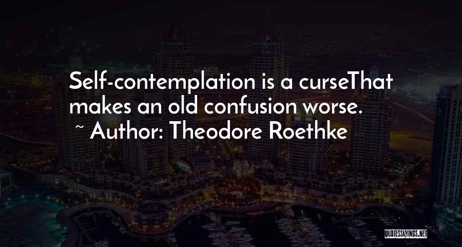 Theodore Roethke Quotes: Self-contemplation Is A Cursethat Makes An Old Confusion Worse.