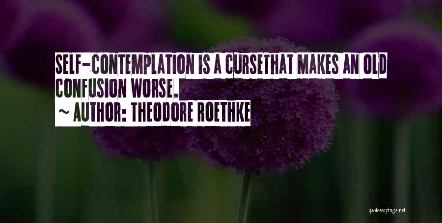 Theodore Roethke Quotes: Self-contemplation Is A Cursethat Makes An Old Confusion Worse.