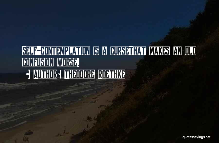 Theodore Roethke Quotes: Self-contemplation Is A Cursethat Makes An Old Confusion Worse.