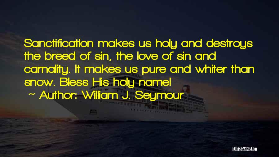 William J. Seymour Quotes: Sanctification Makes Us Holy And Destroys The Breed Of Sin, The Love Of Sin And Carnality. It Makes Us Pure