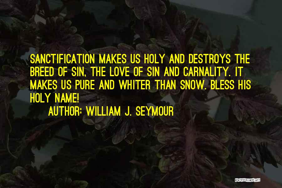 William J. Seymour Quotes: Sanctification Makes Us Holy And Destroys The Breed Of Sin, The Love Of Sin And Carnality. It Makes Us Pure