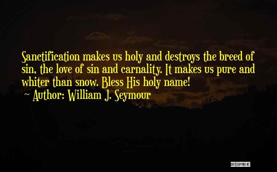 William J. Seymour Quotes: Sanctification Makes Us Holy And Destroys The Breed Of Sin, The Love Of Sin And Carnality. It Makes Us Pure