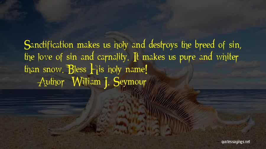 William J. Seymour Quotes: Sanctification Makes Us Holy And Destroys The Breed Of Sin, The Love Of Sin And Carnality. It Makes Us Pure