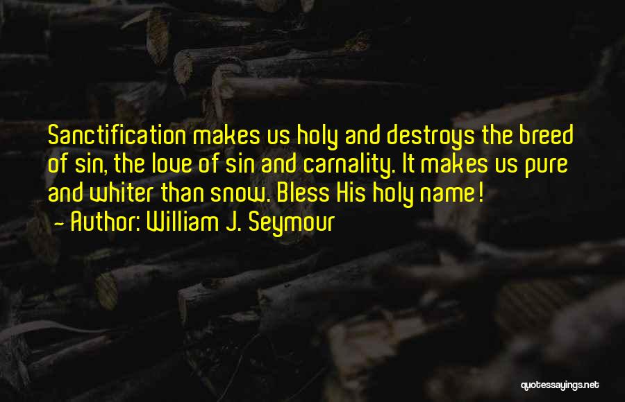 William J. Seymour Quotes: Sanctification Makes Us Holy And Destroys The Breed Of Sin, The Love Of Sin And Carnality. It Makes Us Pure