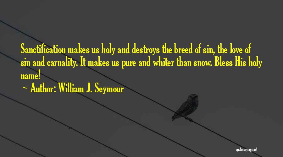 William J. Seymour Quotes: Sanctification Makes Us Holy And Destroys The Breed Of Sin, The Love Of Sin And Carnality. It Makes Us Pure