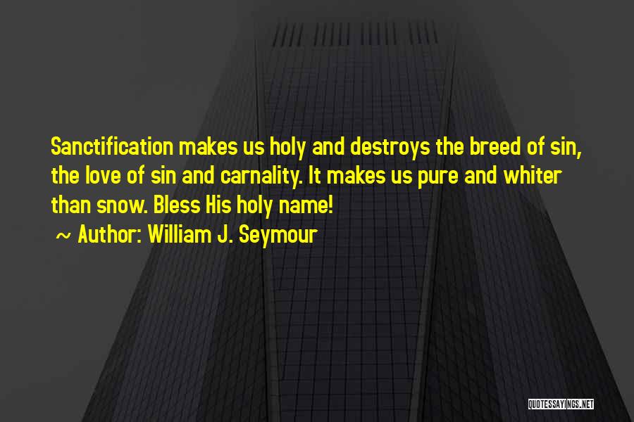 William J. Seymour Quotes: Sanctification Makes Us Holy And Destroys The Breed Of Sin, The Love Of Sin And Carnality. It Makes Us Pure