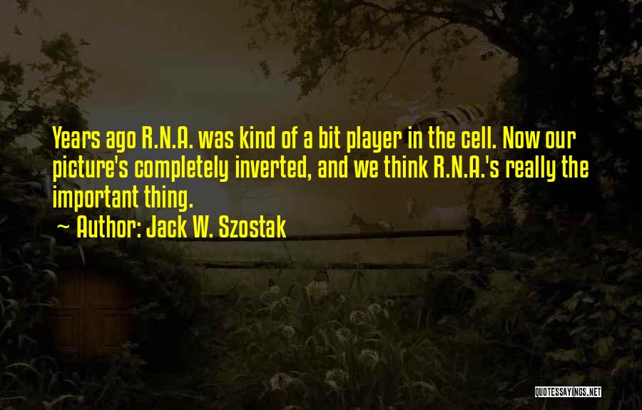 Jack W. Szostak Quotes: Years Ago R.n.a. Was Kind Of A Bit Player In The Cell. Now Our Picture's Completely Inverted, And We Think