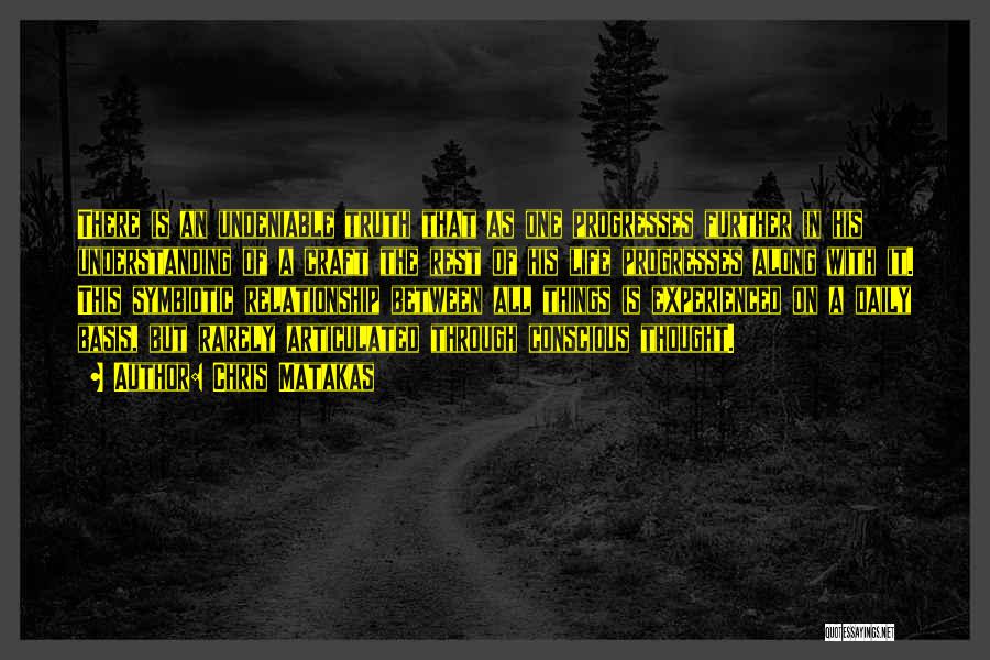 Chris Matakas Quotes: There Is An Undeniable Truth That As One Progresses Further In His Understanding Of A Craft The Rest Of His