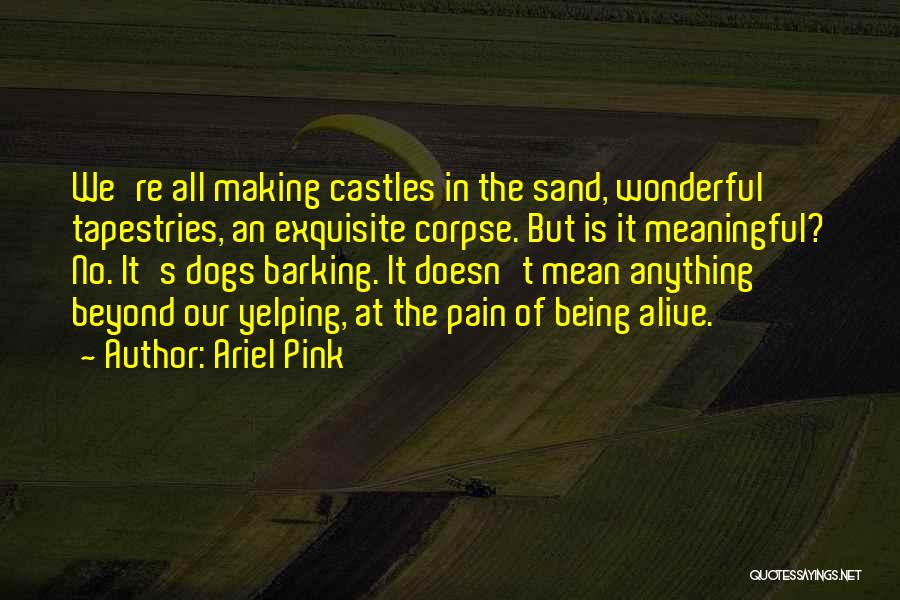 Ariel Pink Quotes: We're All Making Castles In The Sand, Wonderful Tapestries, An Exquisite Corpse. But Is It Meaningful? No. It's Dogs Barking.