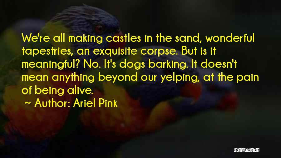 Ariel Pink Quotes: We're All Making Castles In The Sand, Wonderful Tapestries, An Exquisite Corpse. But Is It Meaningful? No. It's Dogs Barking.
